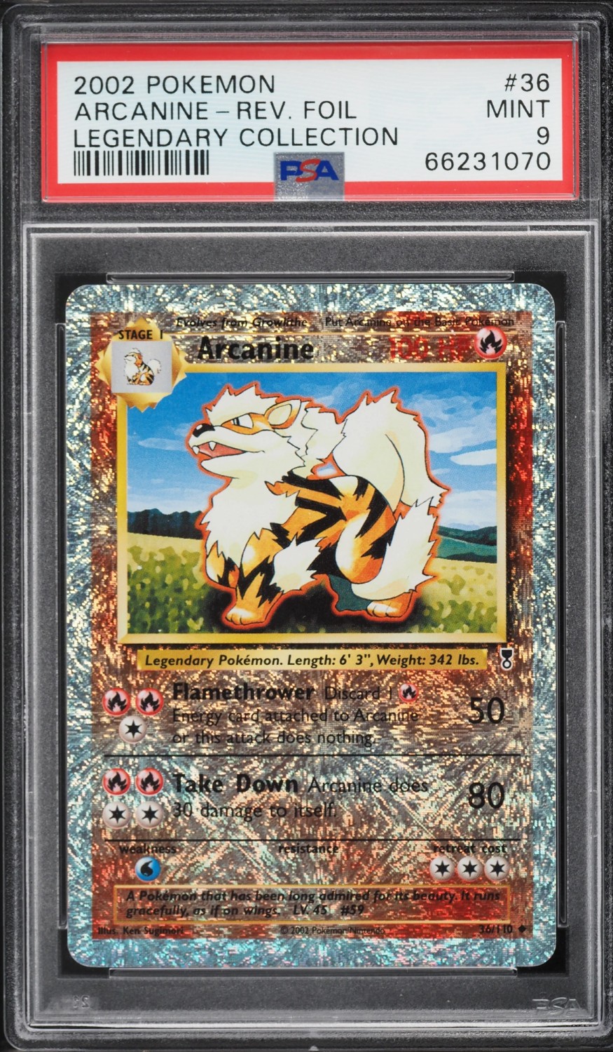 Arcanine