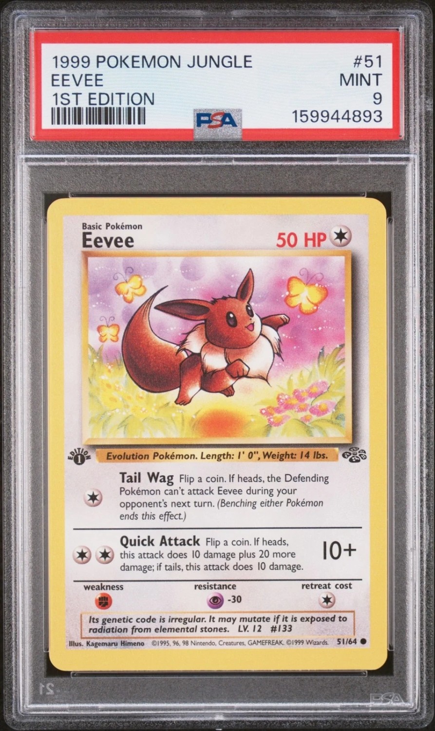 Eevee