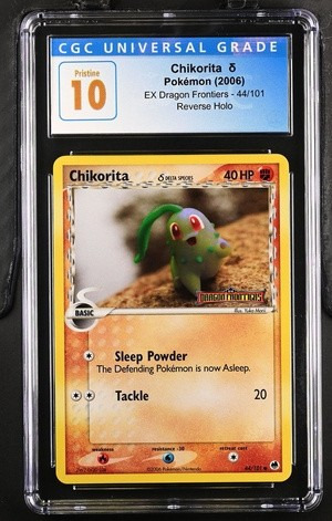Chikorita δ