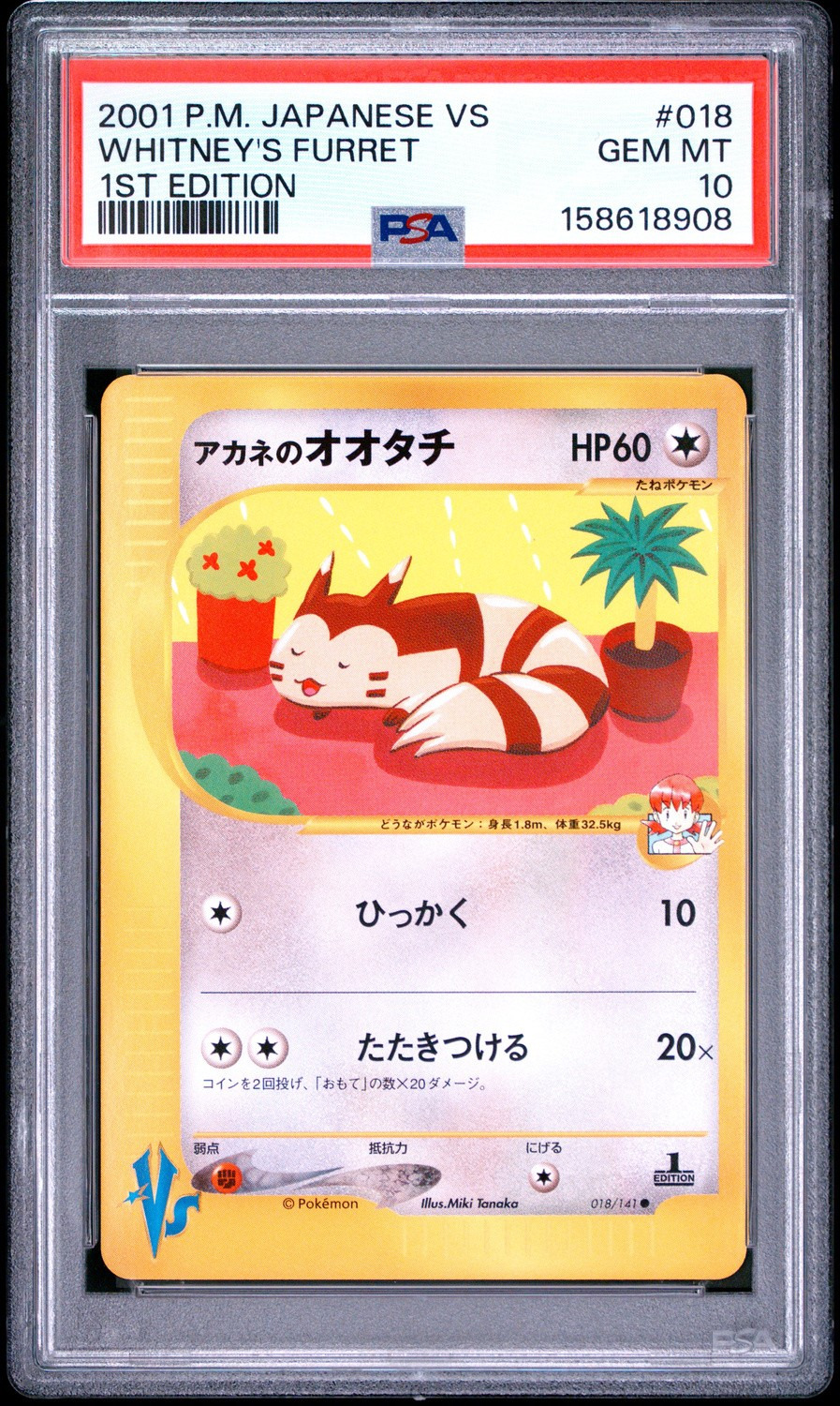 Whitney's Furret