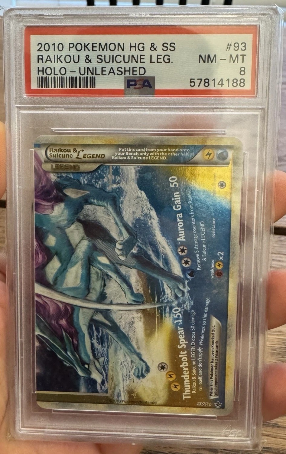 Raikou & Suicune Leg