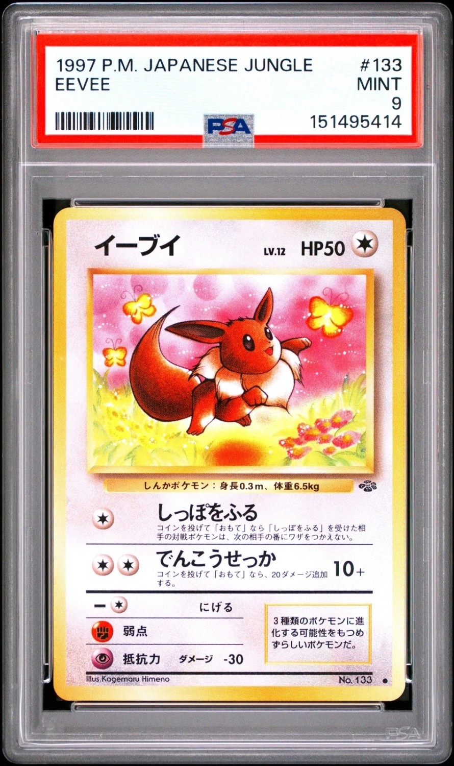 Eevee