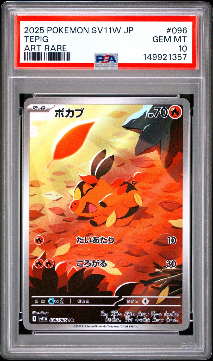 Tepig
