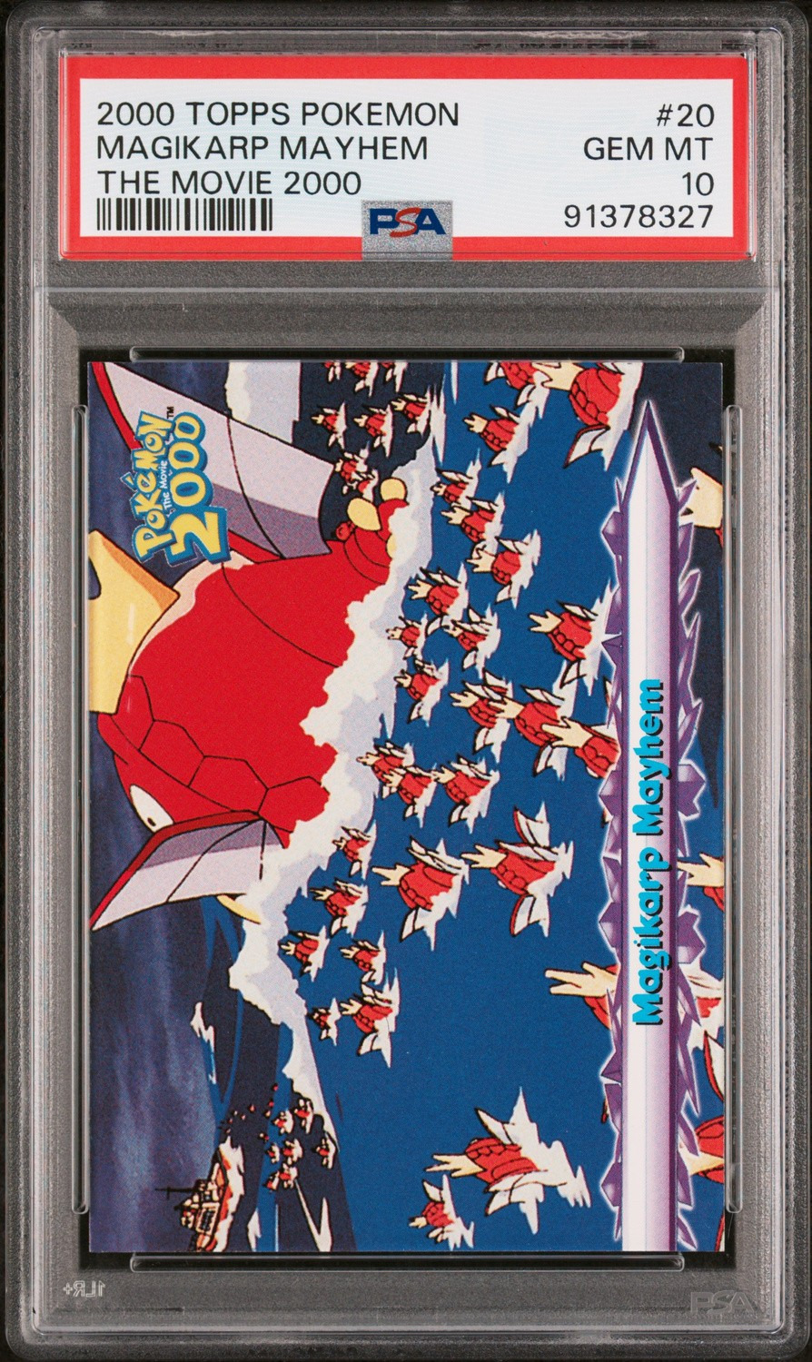 Magikarp Mayhem