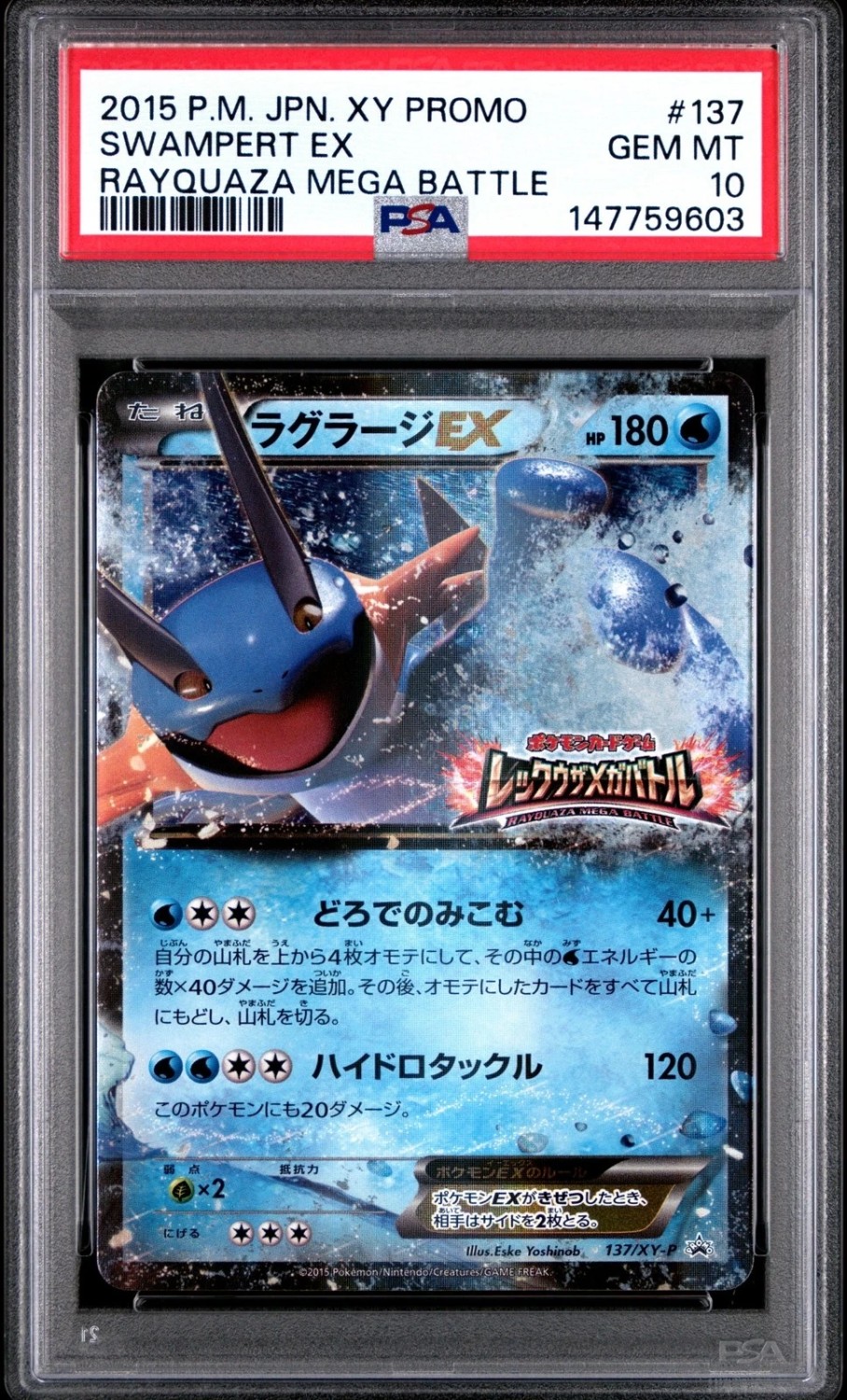 Swampert EX