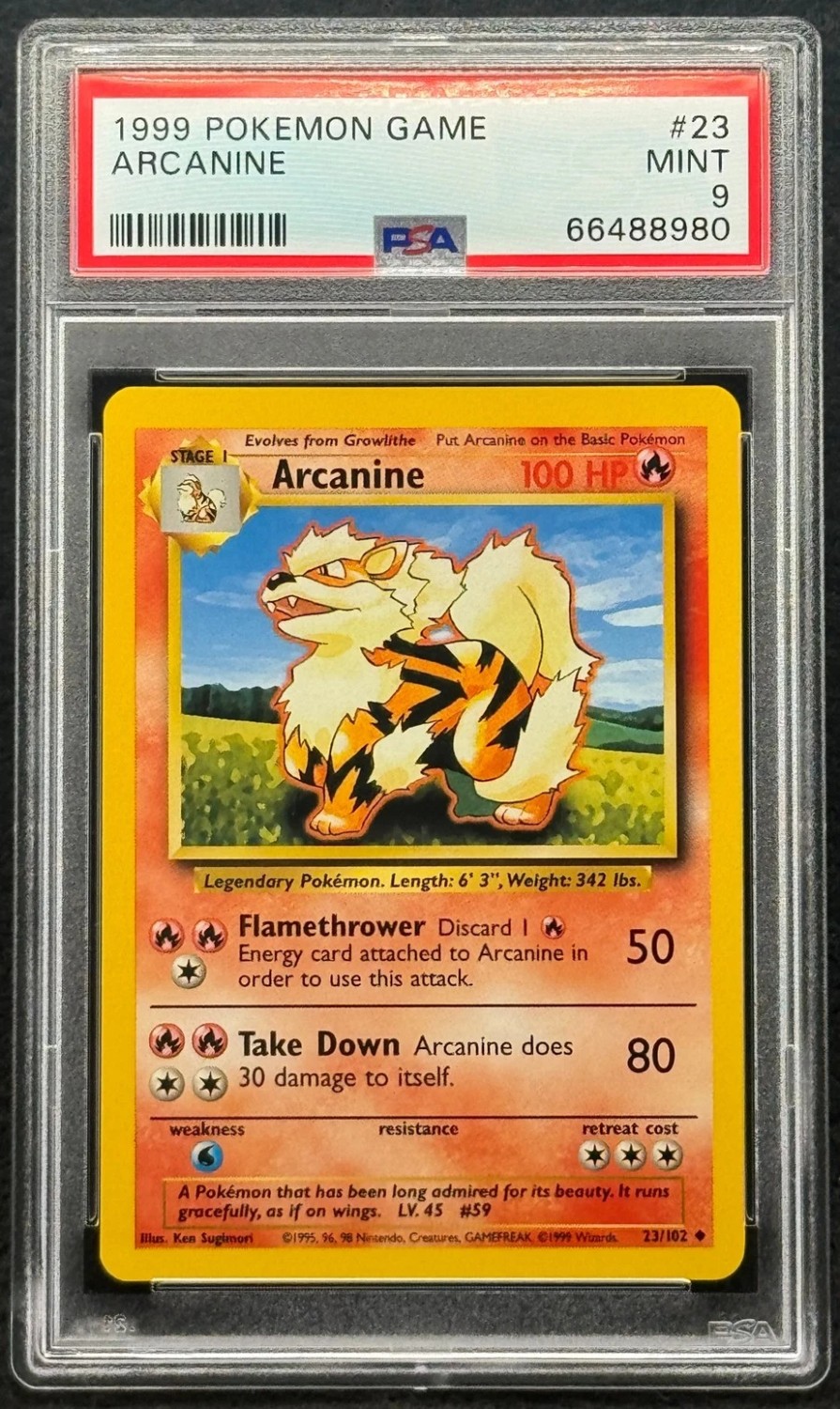 ARCANINE