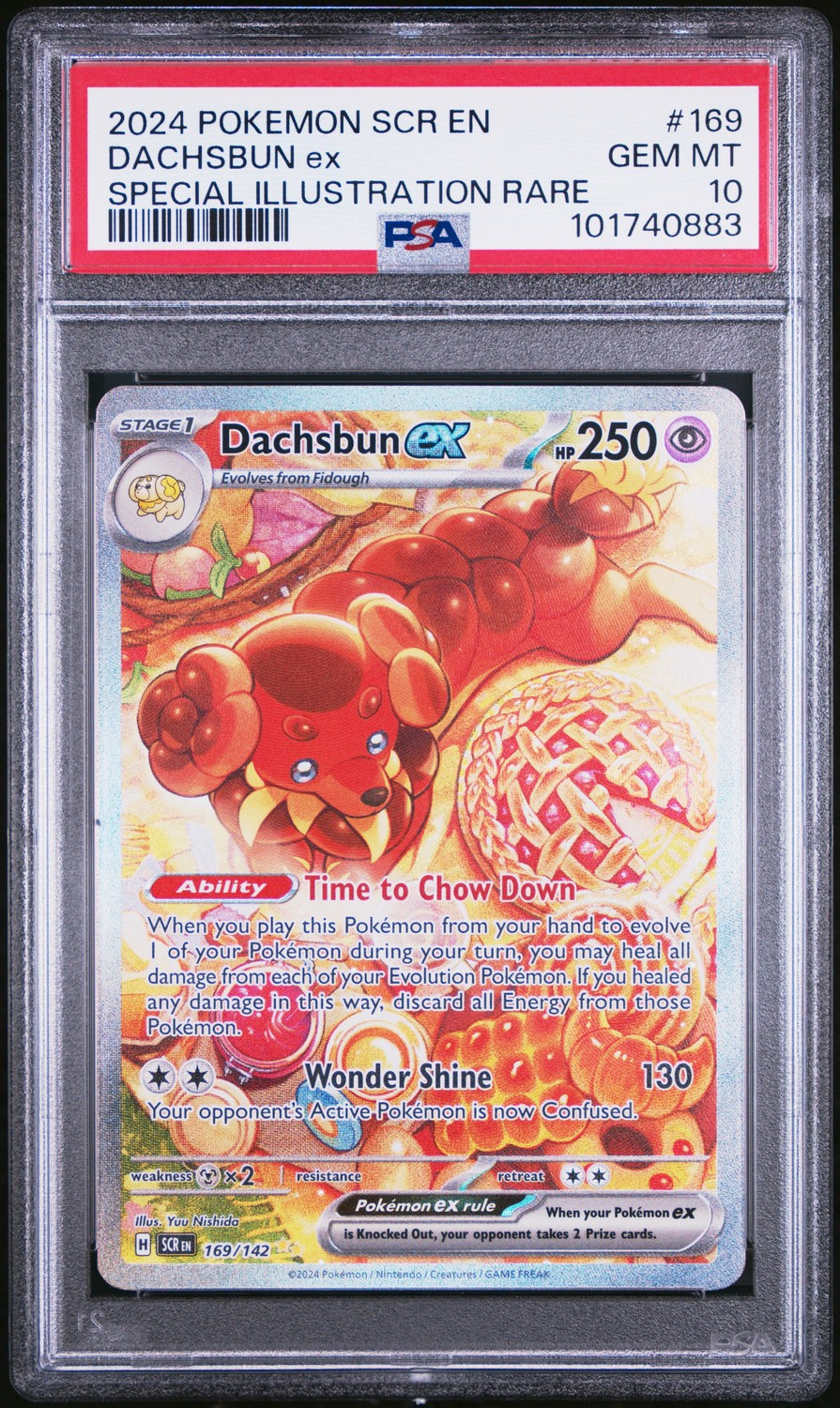 DACHSBUN ex