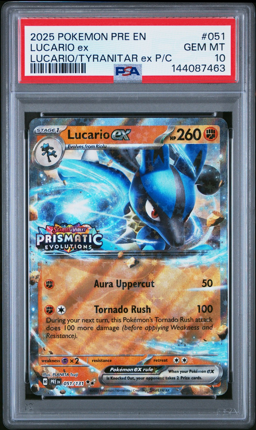 LUCARIO ex