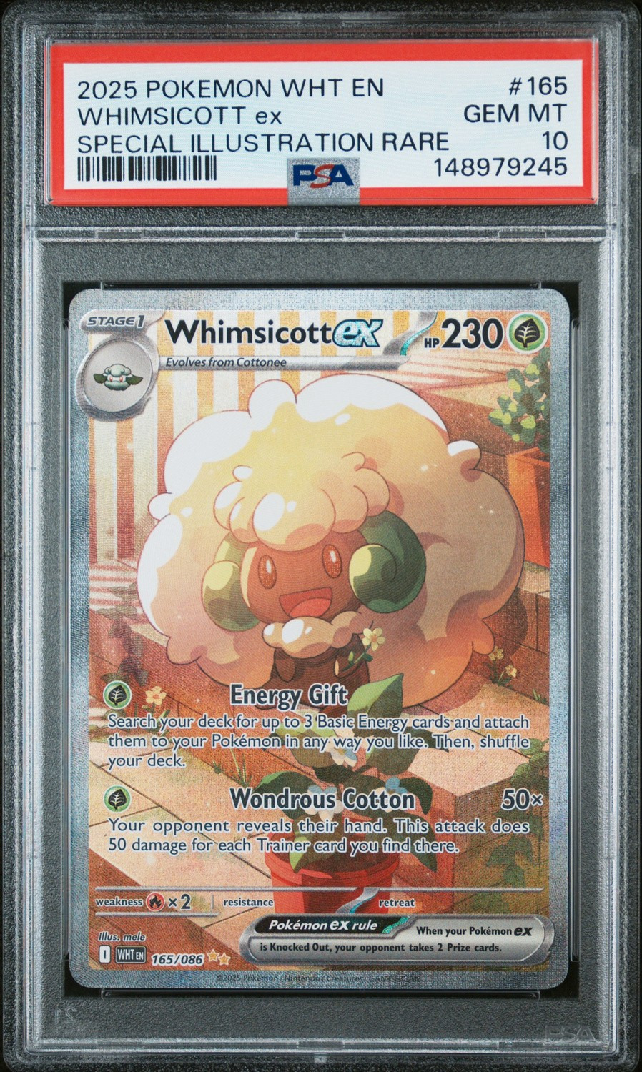 WHIMSICOTT ex