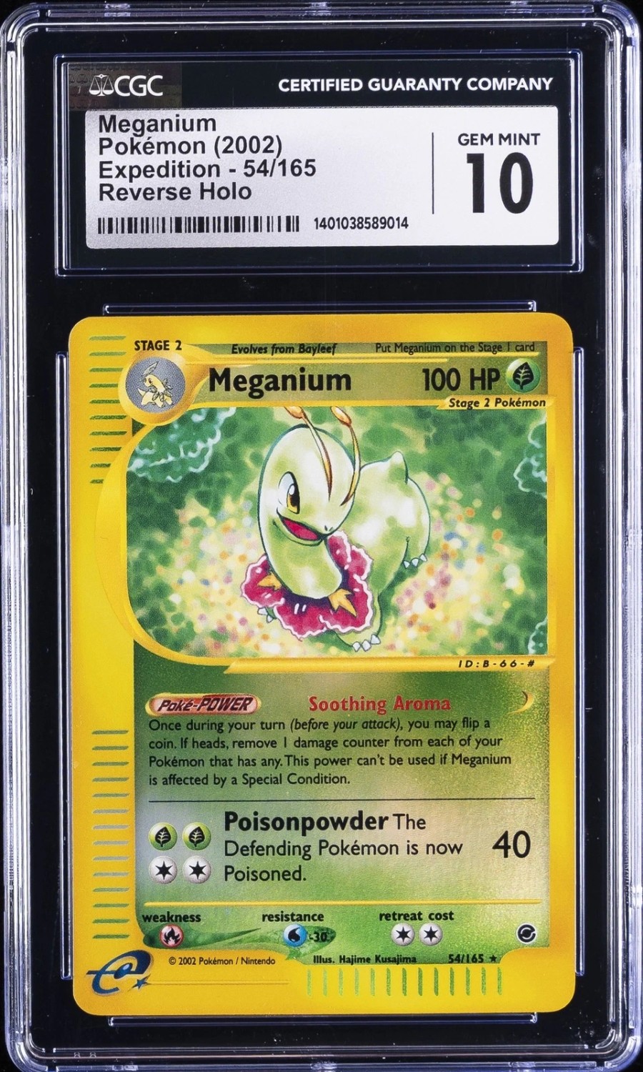 Meganium