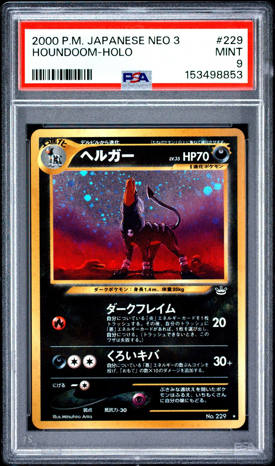 Houndoom