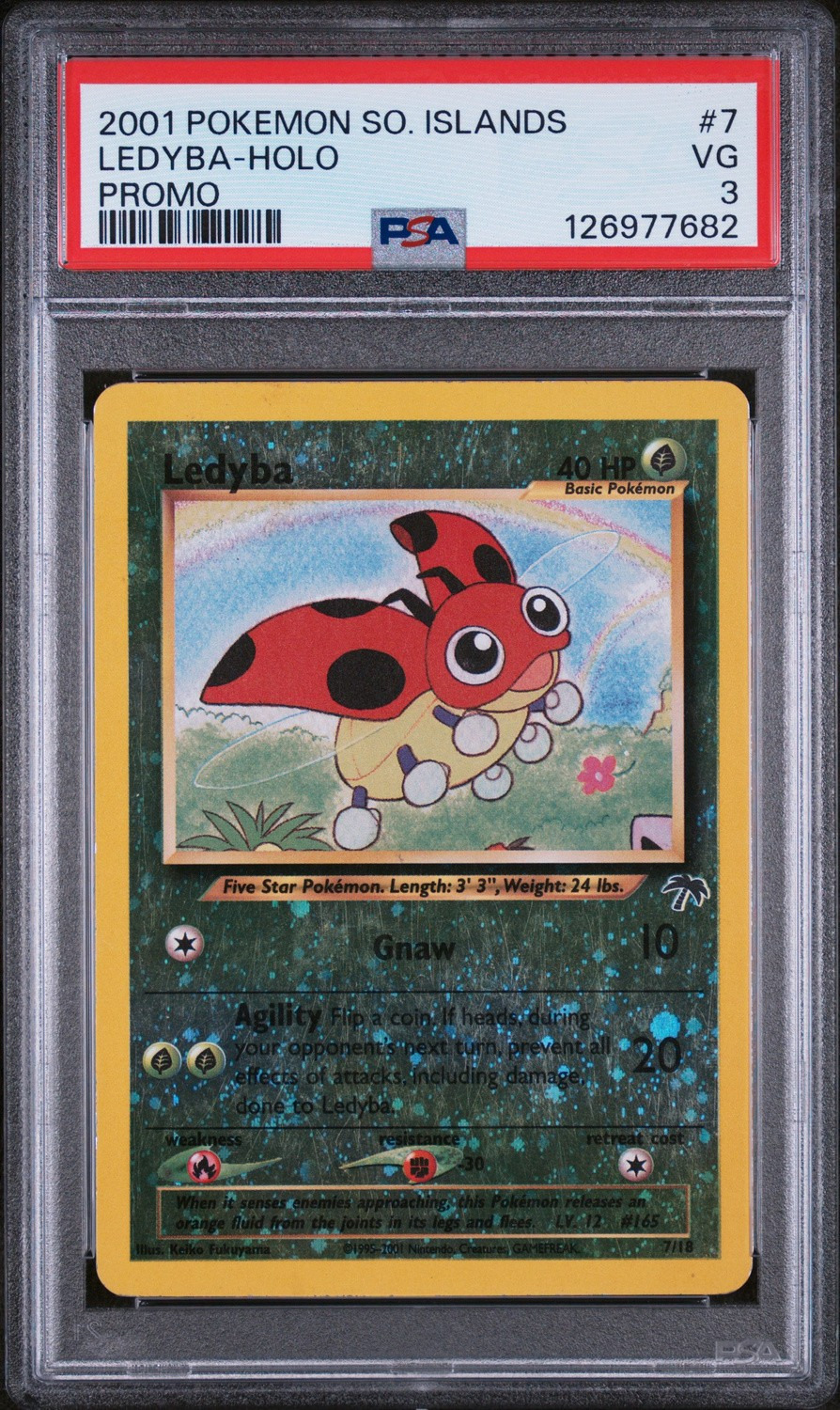 Ledyba