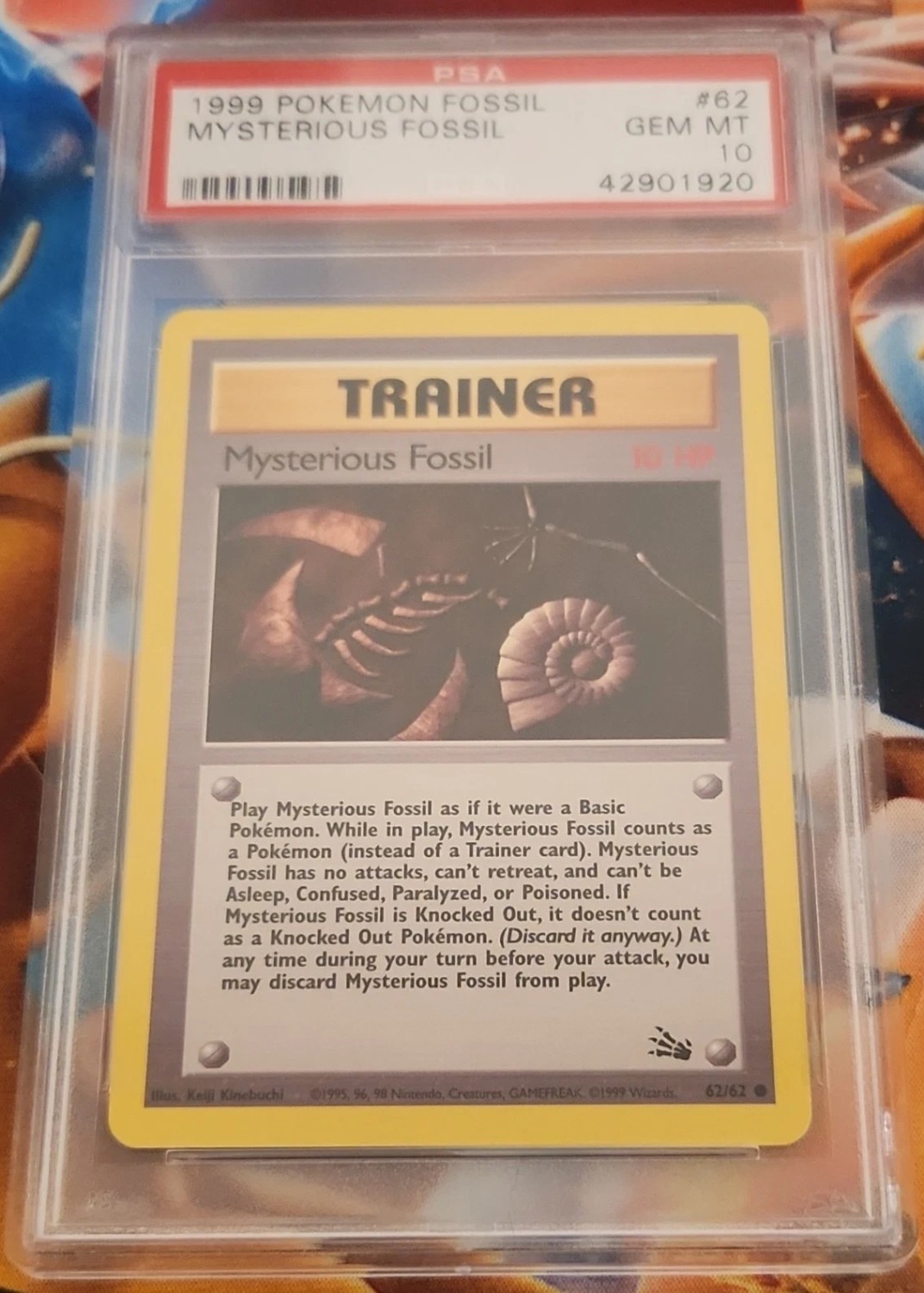 Mysterious Fossil