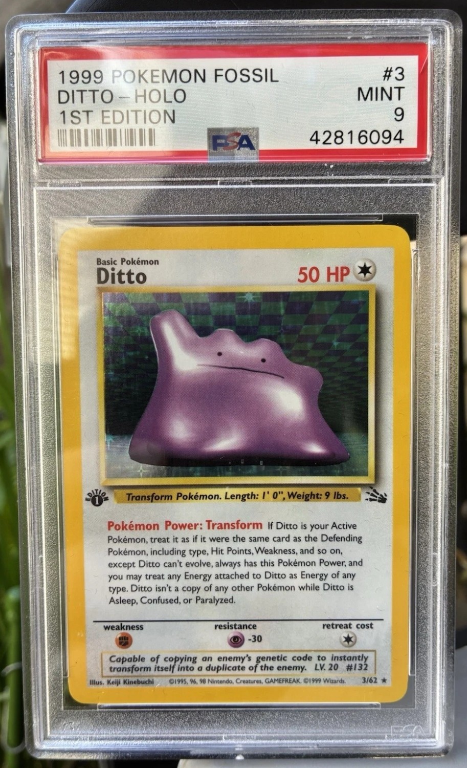 Ditto