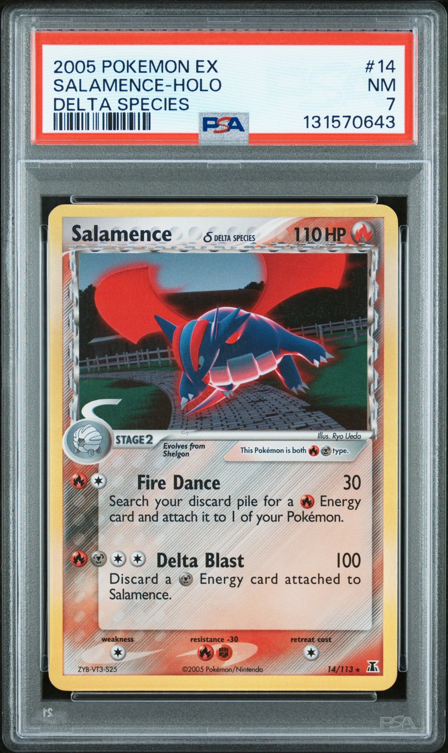 Salamence
