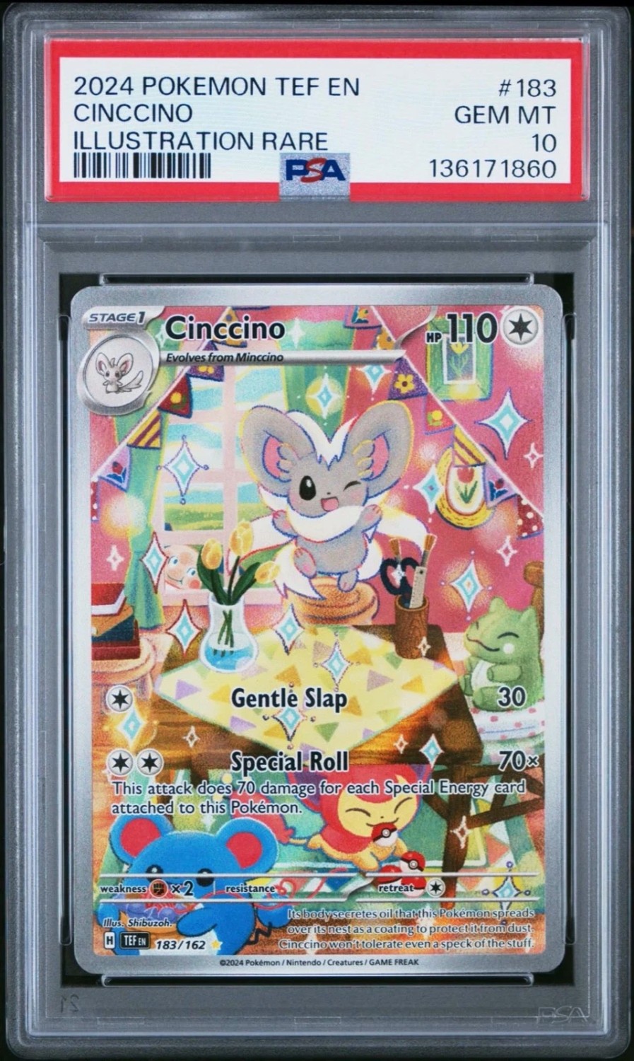 Cinccino
