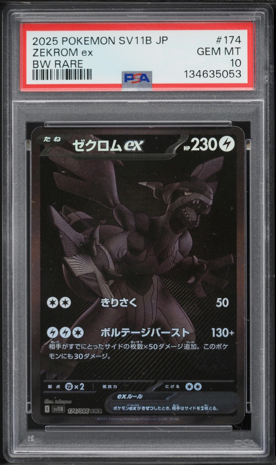 ZEKROM ex