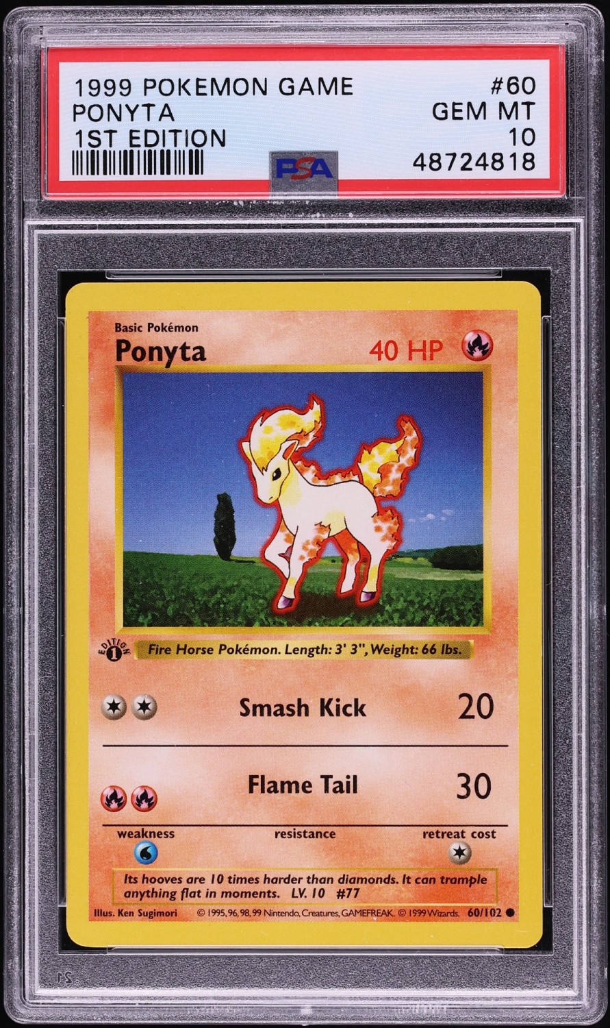 PONYTA