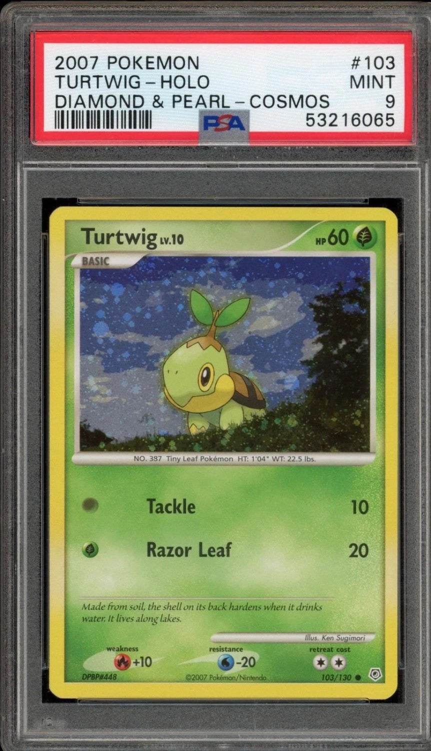TURTWIG