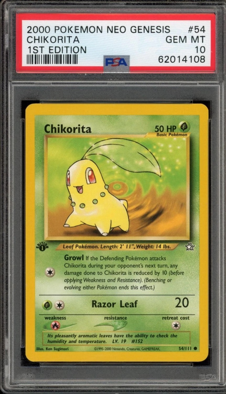 Chikorita