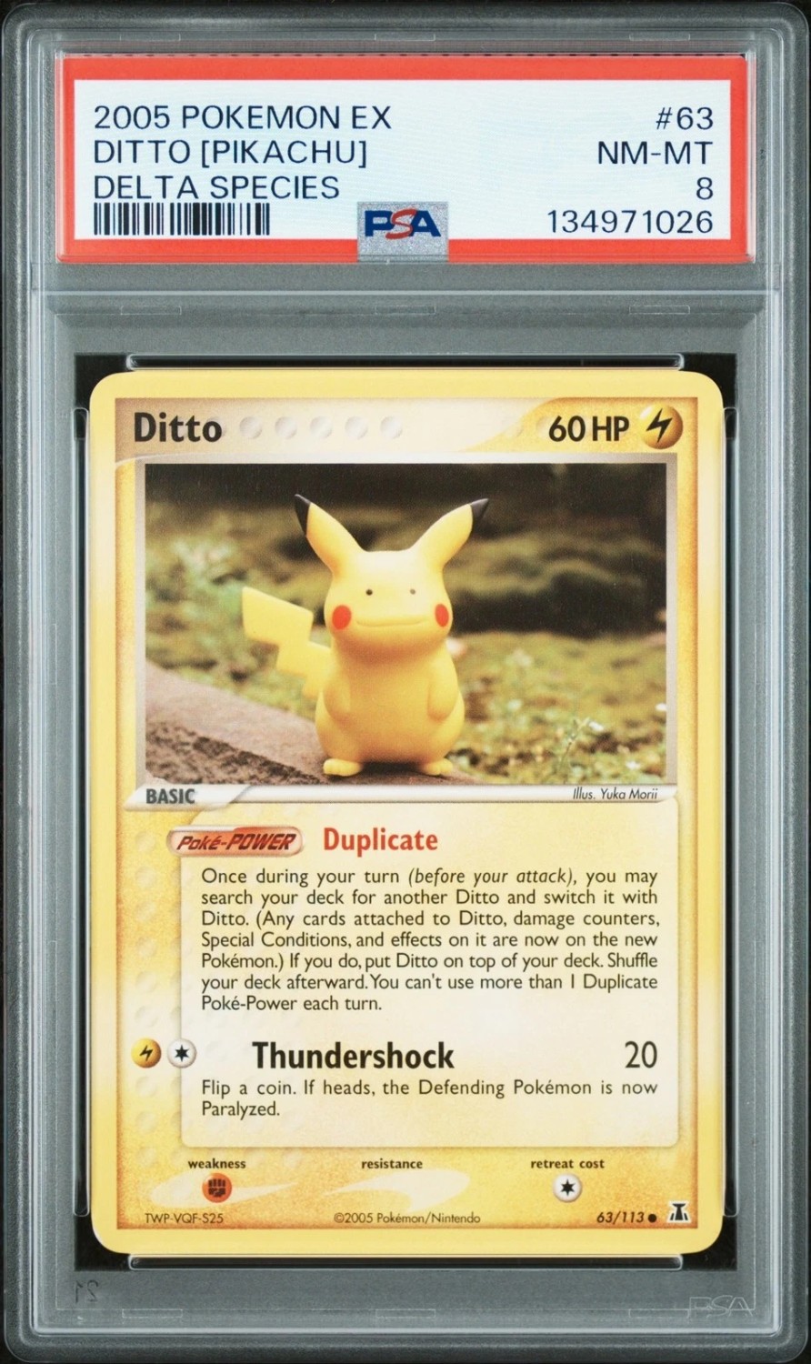 Ditto [Pikachu]