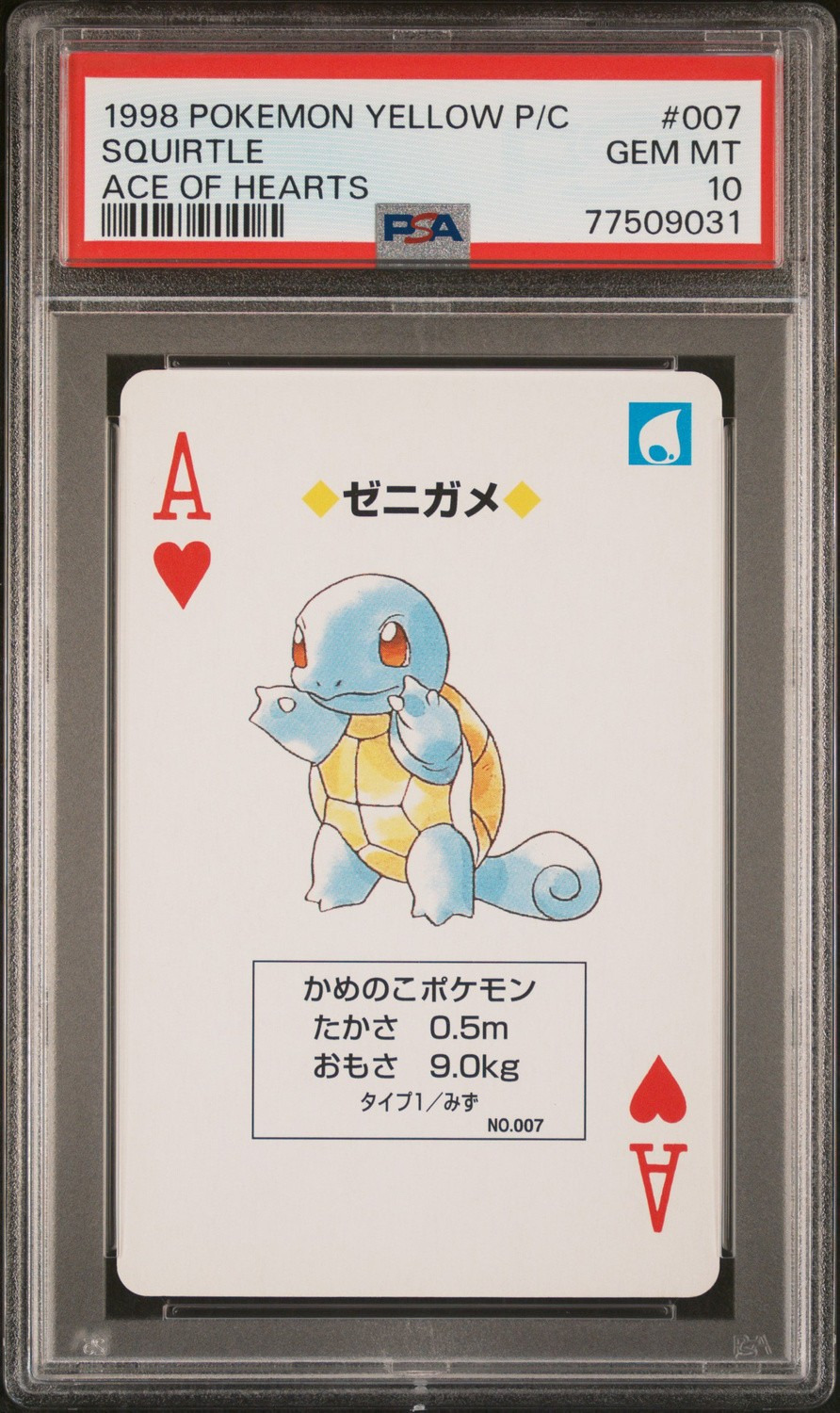 Squirtle