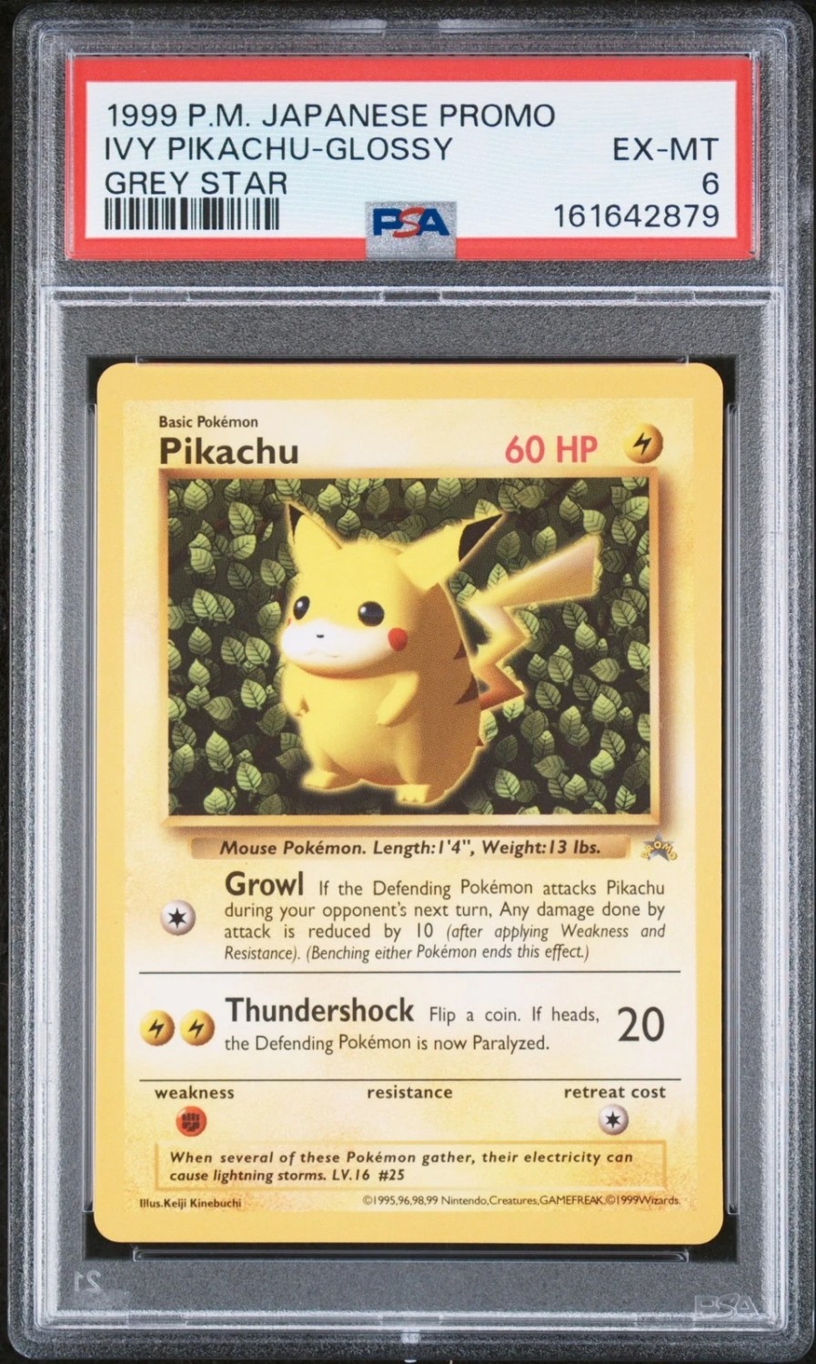 IVY PIKACHU