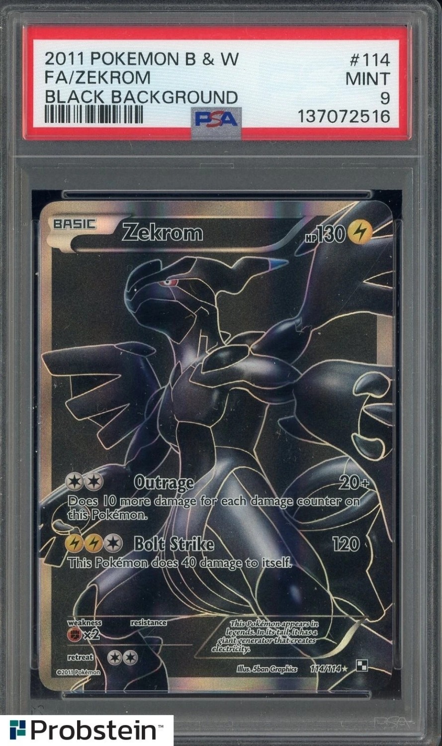 FA/ZEKROM