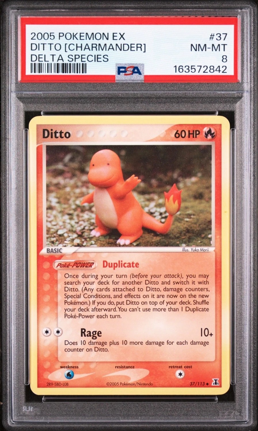 Ditto [Charmander]