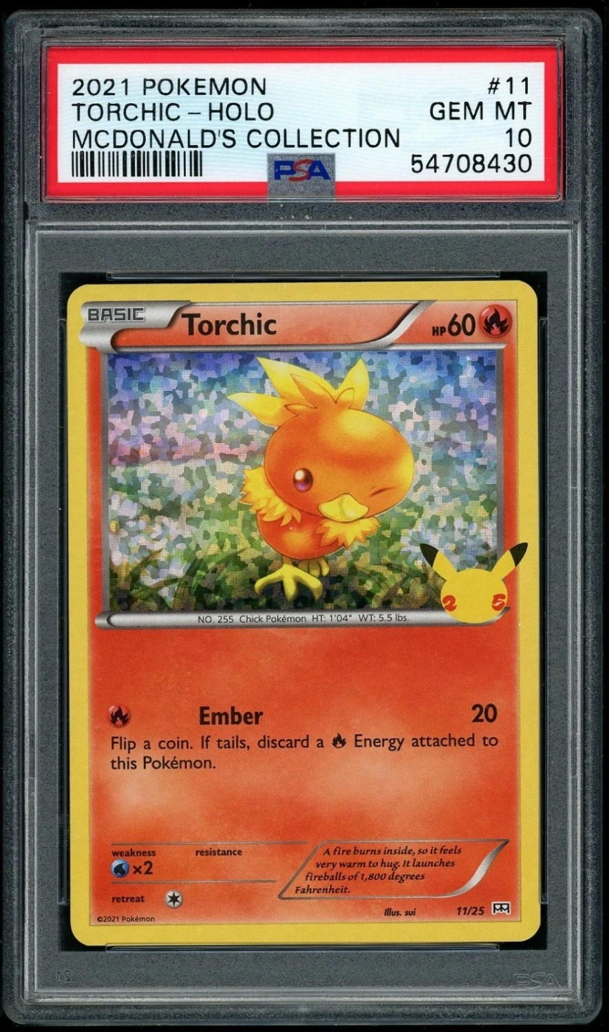 Torchic