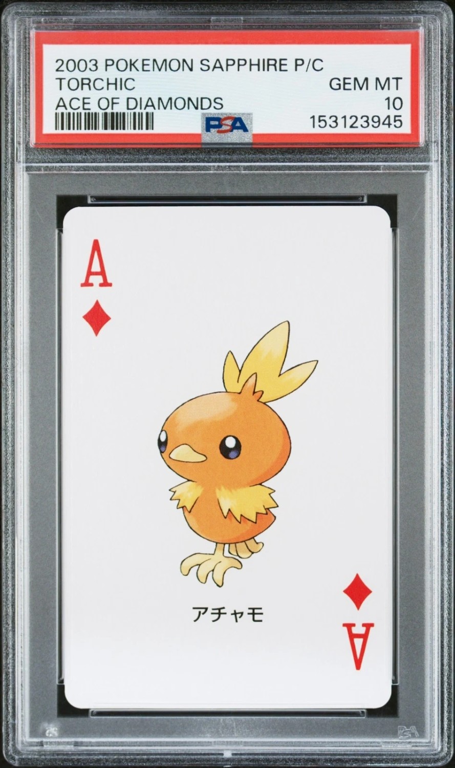 Torchic