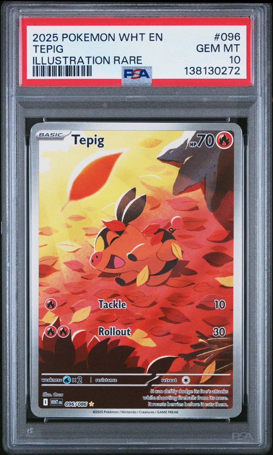 Tepig