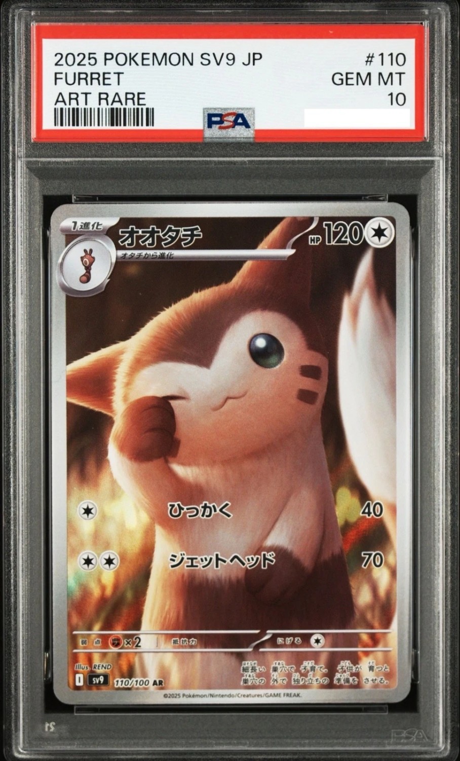 Furret