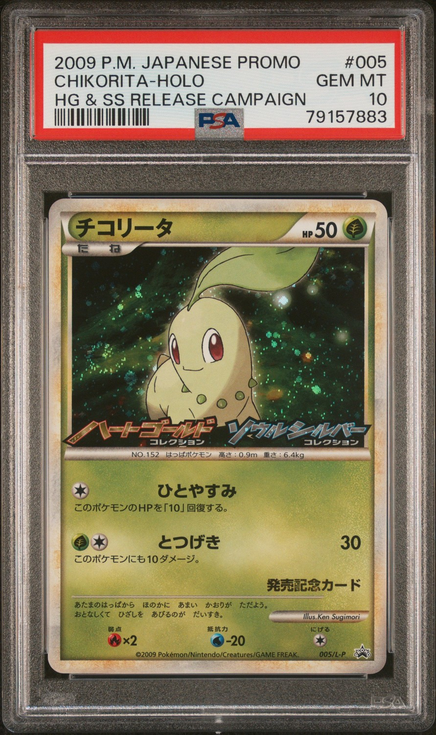 Chikorita