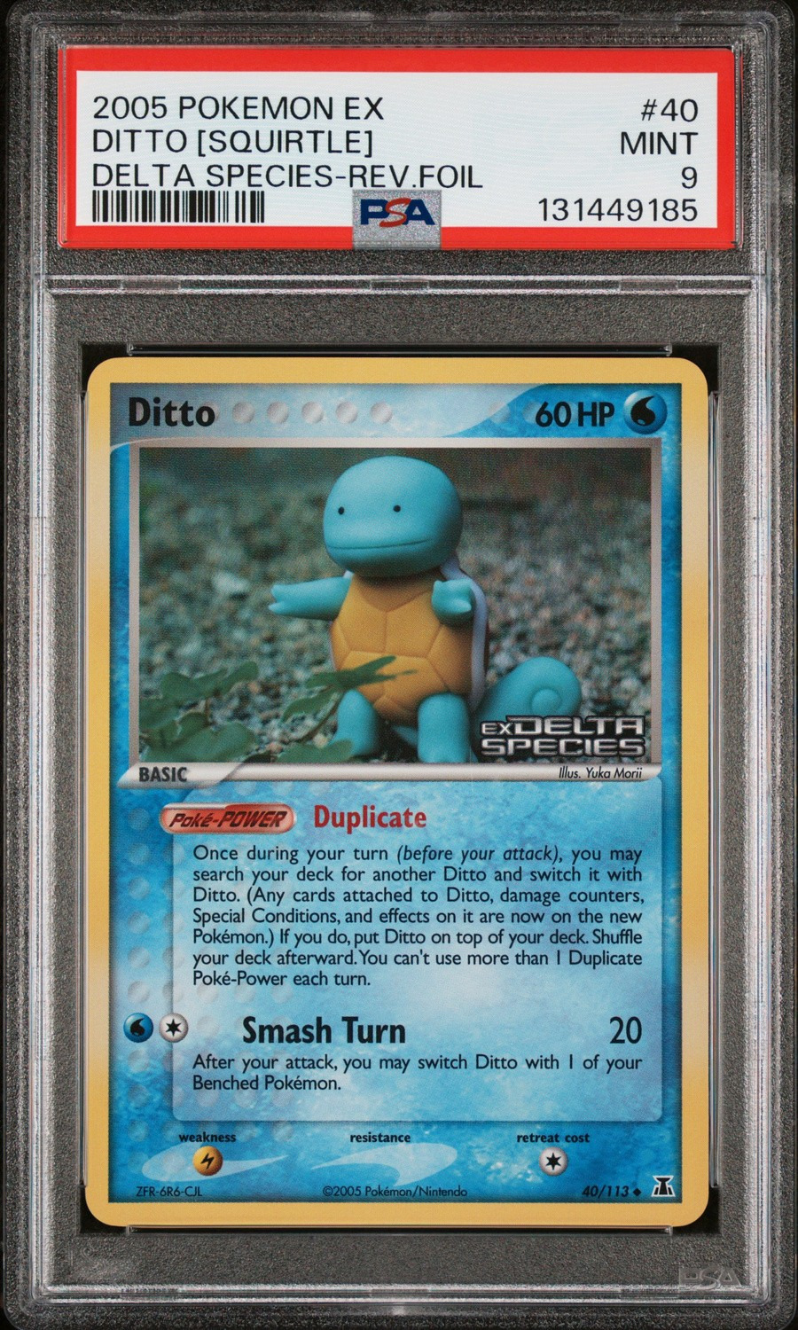 Ditto [Squirtle]
