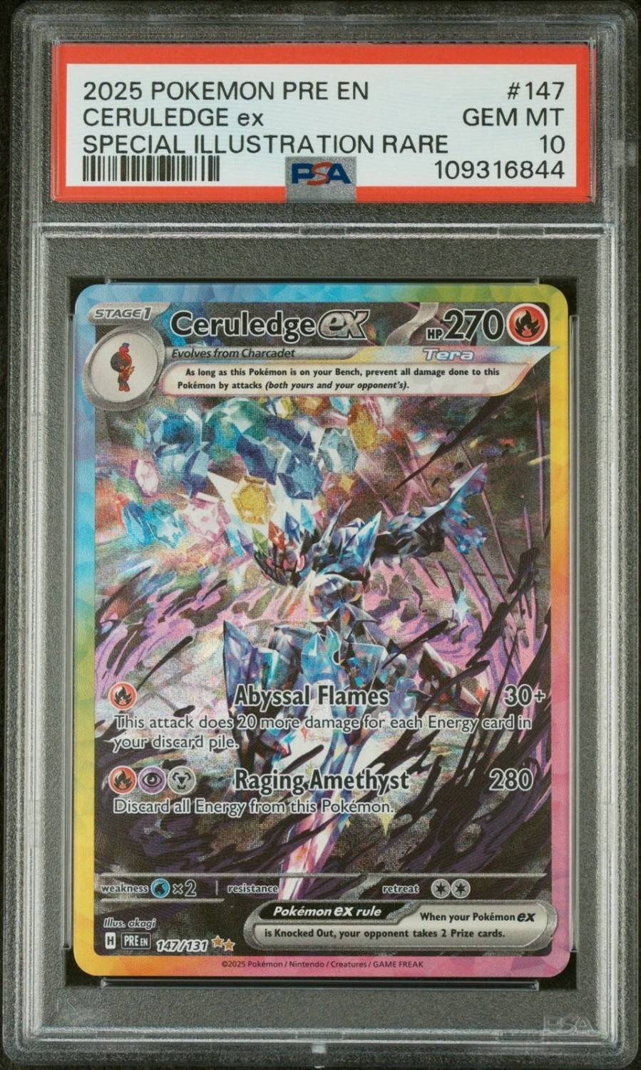 CERULEDGE ex