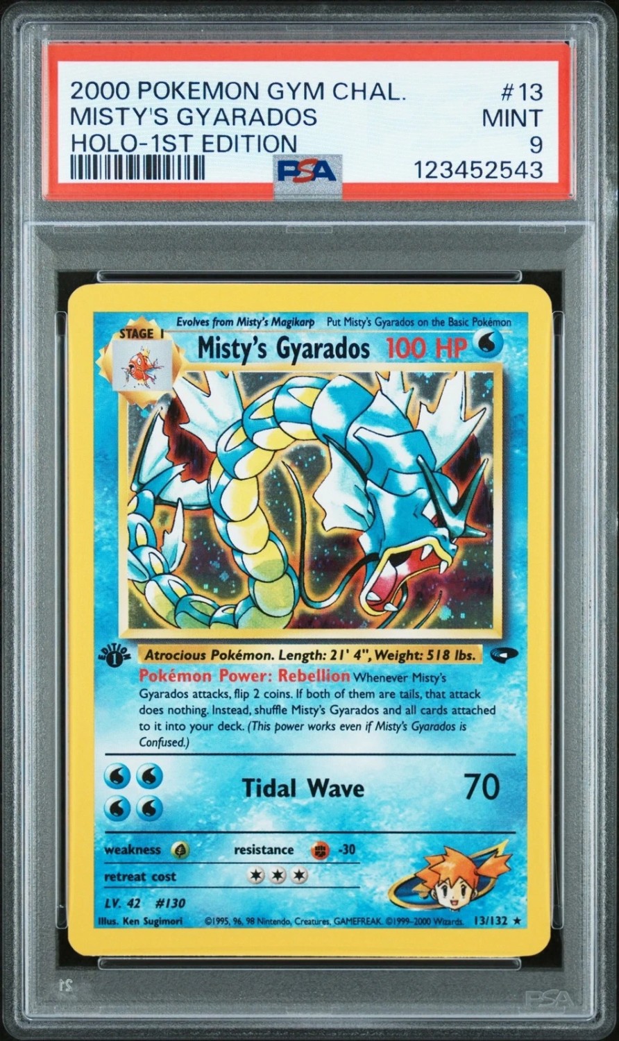 Misty's Gyarados