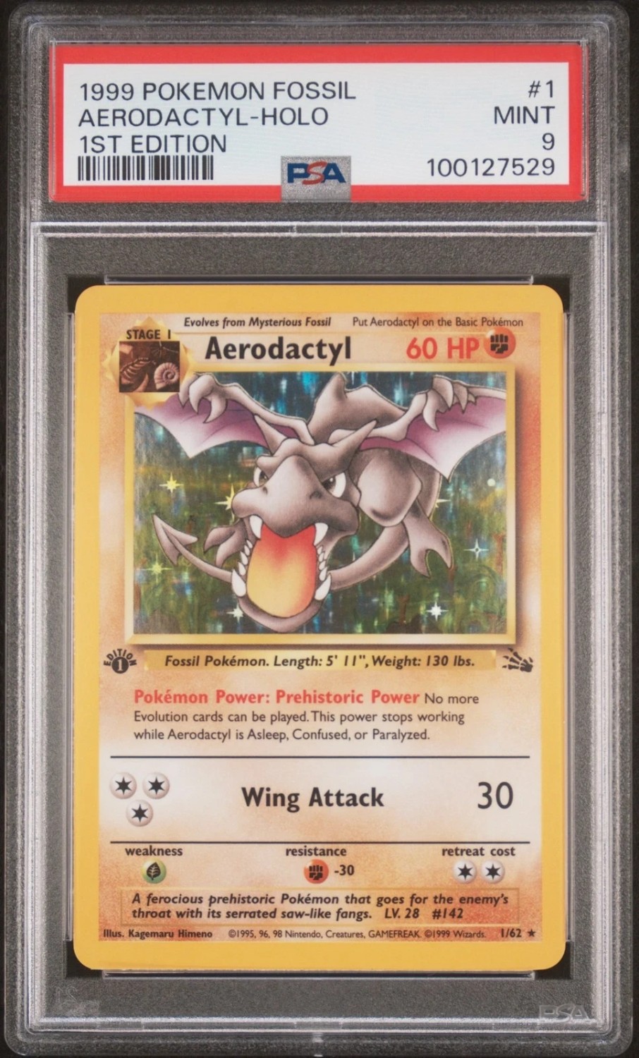 Aerodactyl