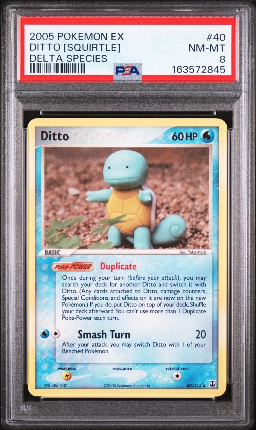 Ditto [Squirtle]