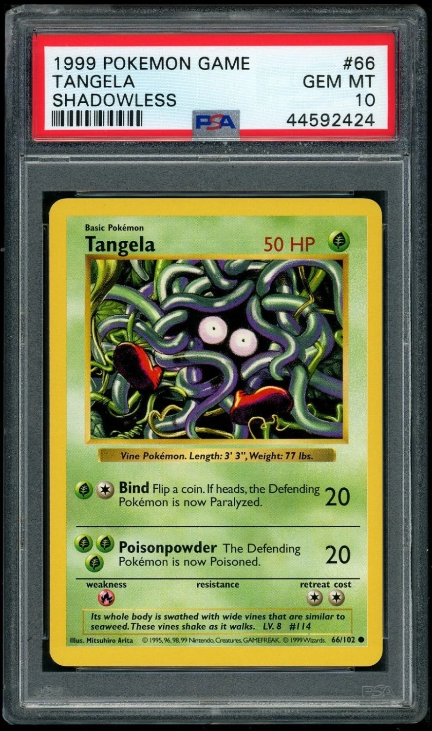 TANGELA