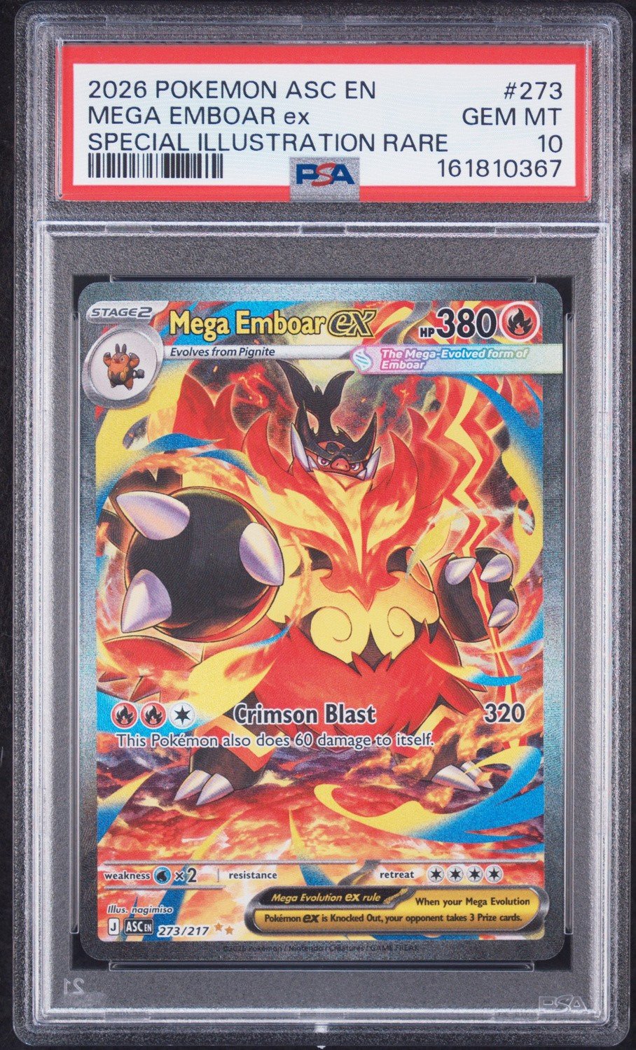 MEGA EMBOAR ex