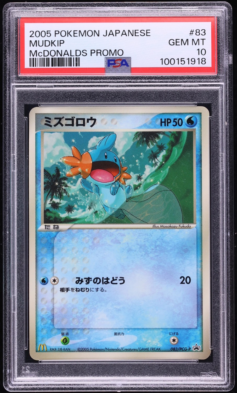 Mudkip