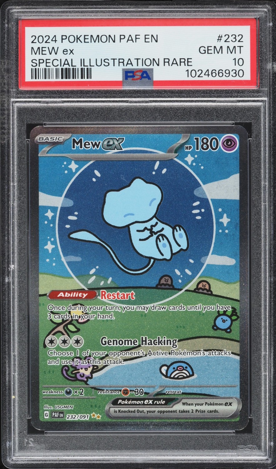 MEW ex