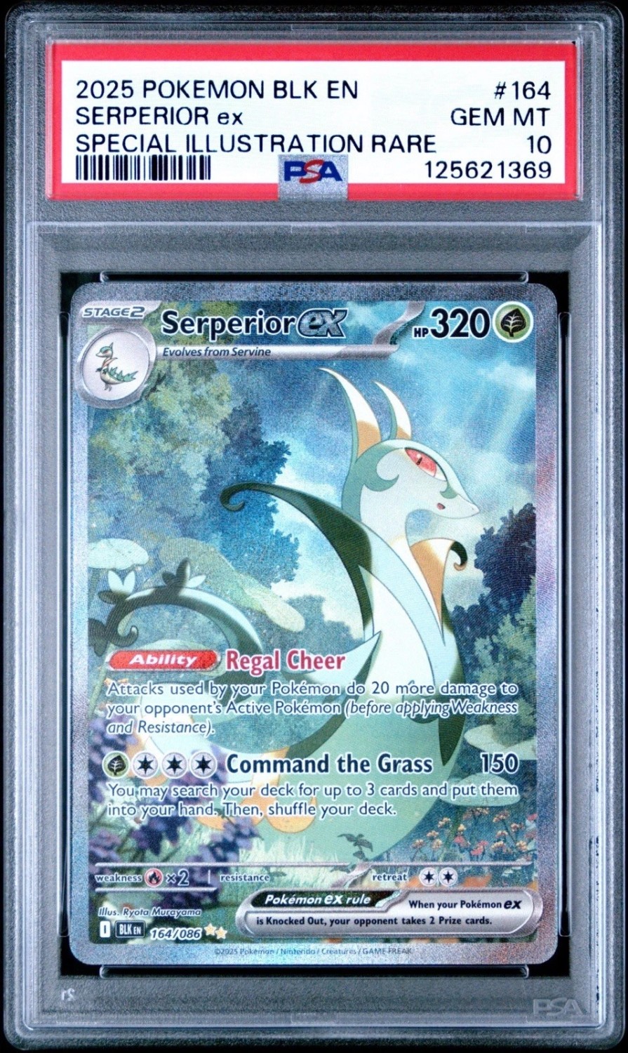 SERPERIOR ex