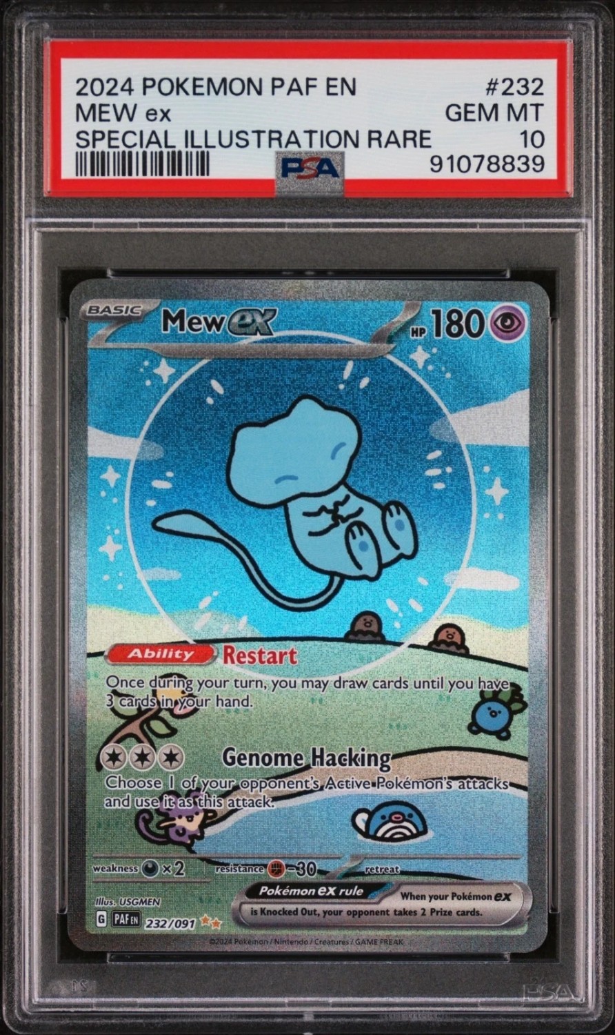 MEW ex