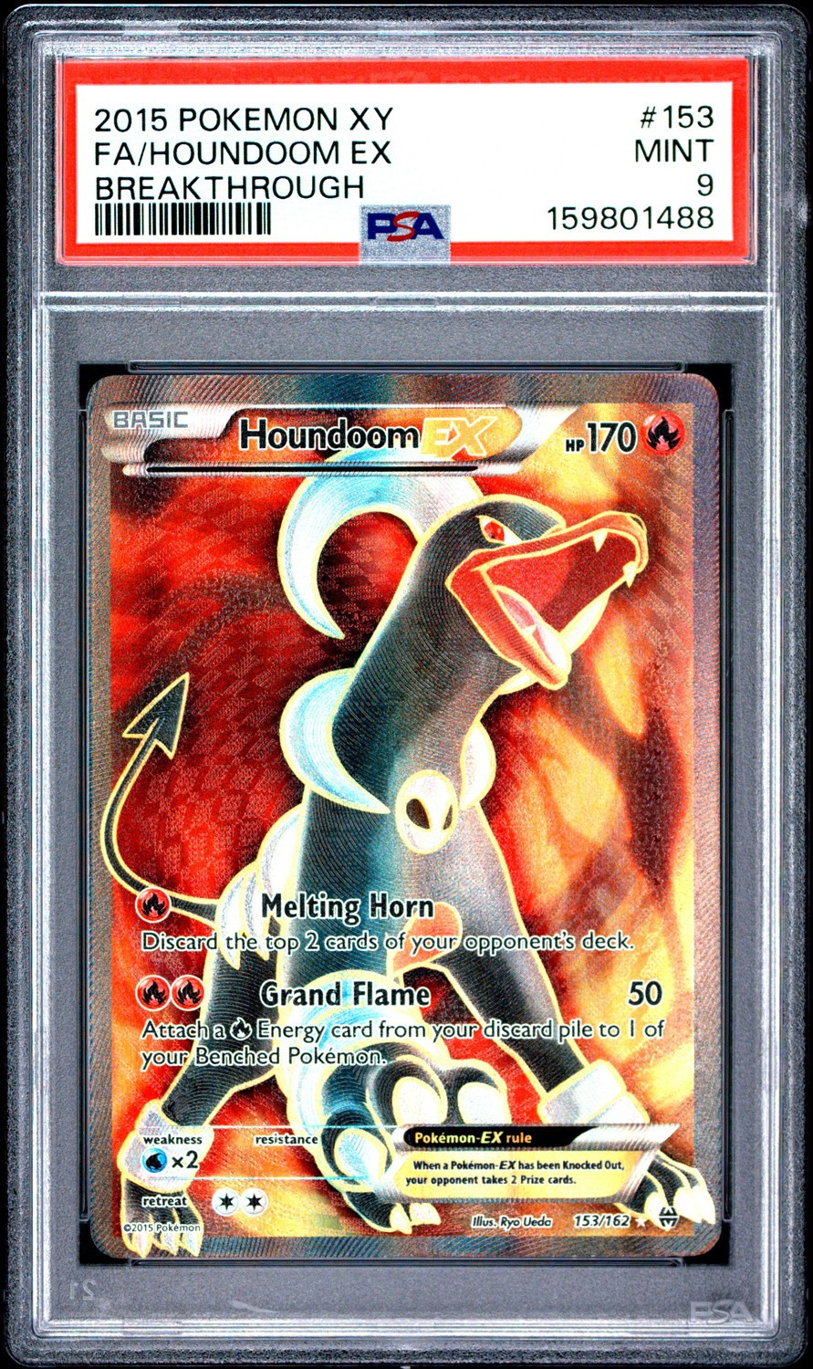 Houndoom EX