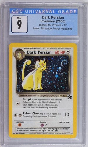 Dark Persian
