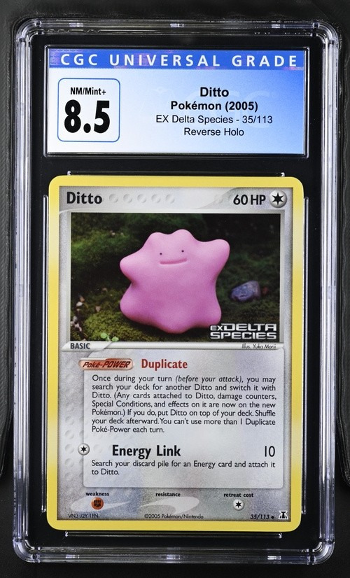 Ditto