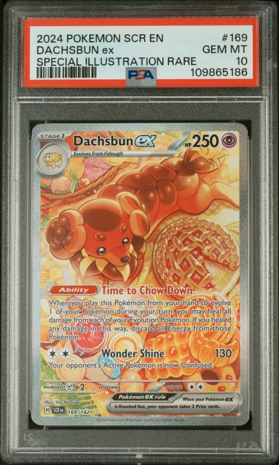 DACHSBUN ex