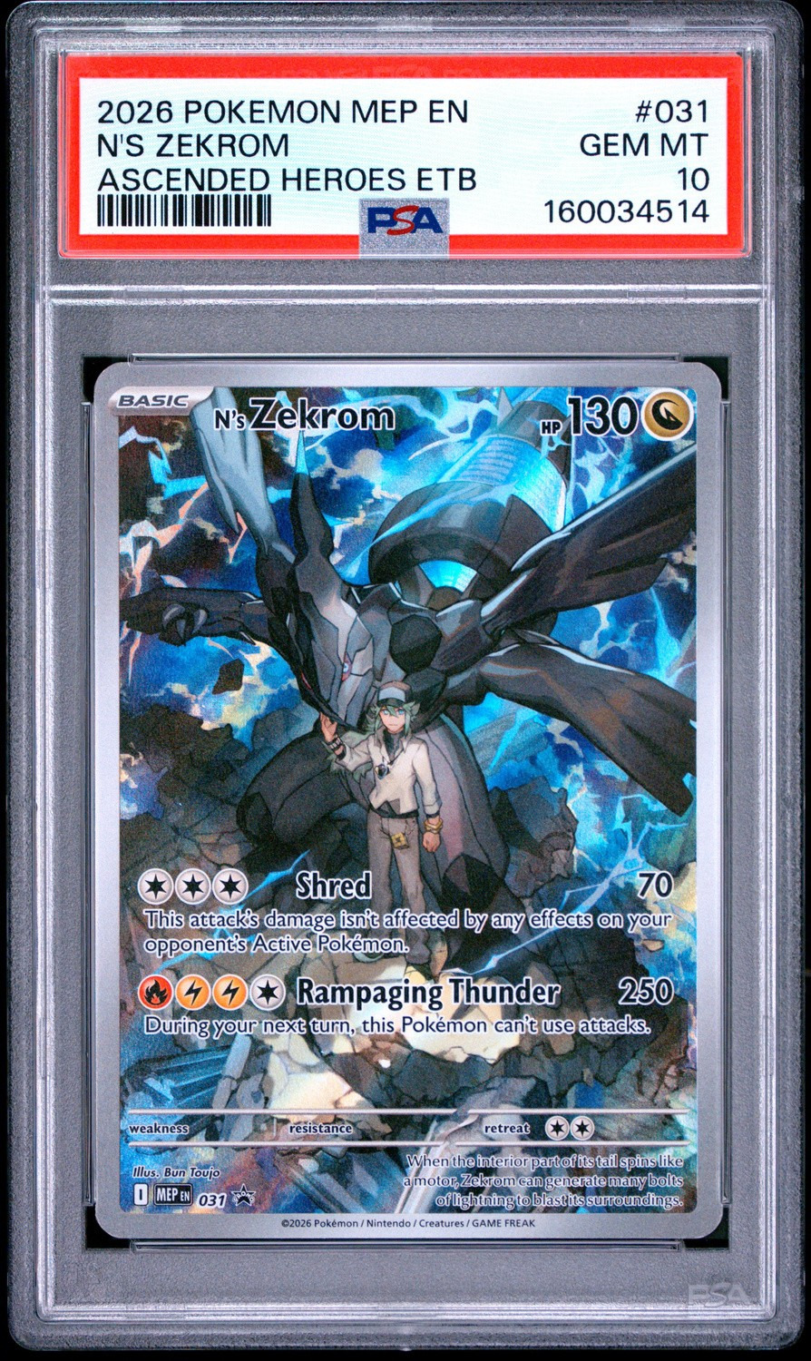 N'S ZEKROM